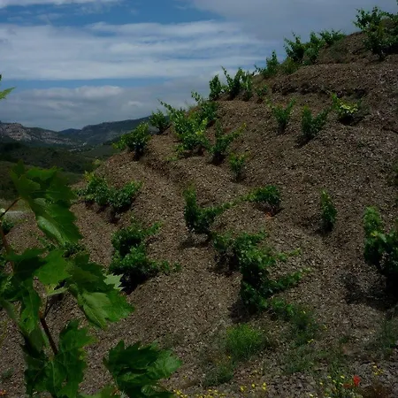 Отель Cal Llop 3*